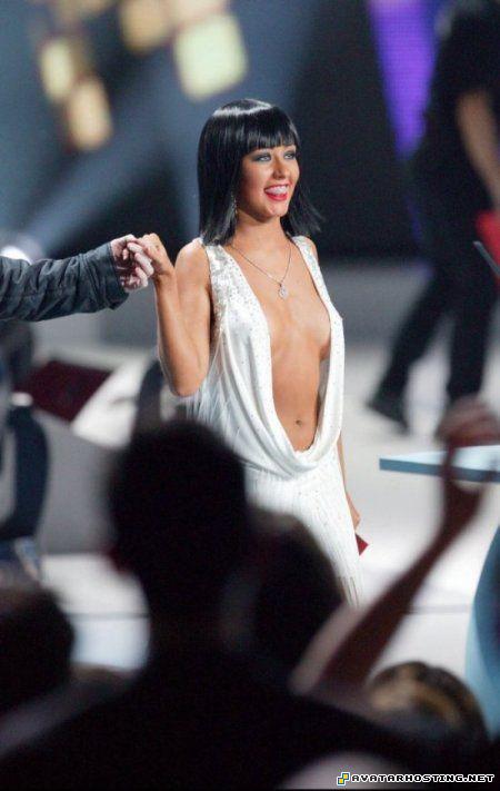 beetles species free picture hosting avatare christina_02