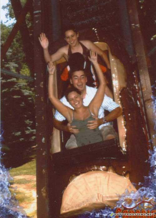 insect identification avatar book 3 dvd fine art paintings 82133