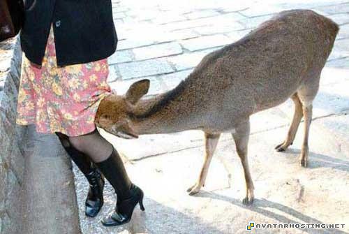 100x100 avatar avatar messenger avatar book 4 83689