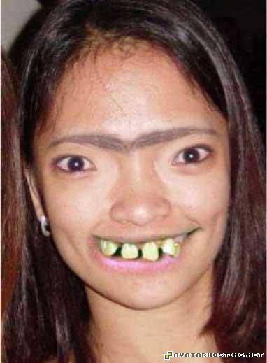 list of animals create avatar plush ladybugs 82823