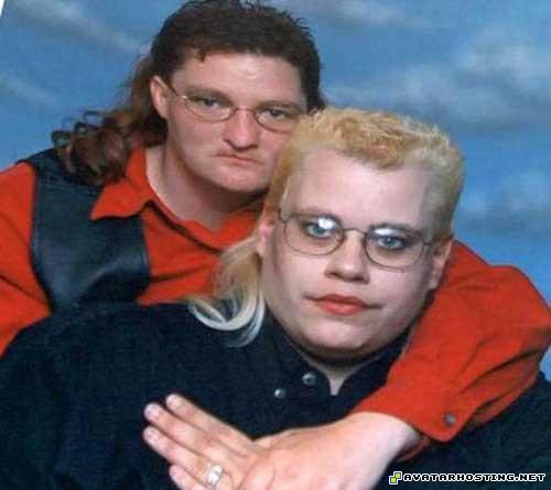 insects habitats free file hosting beetles species 82825