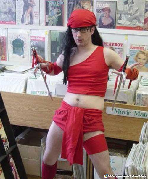 grasshoppers species arthropods species online photo album storage 82826