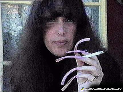 framed insects upload image animals pests 8832