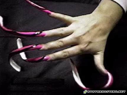 free large image hosting photo uploading arthropods vertebrates 8835