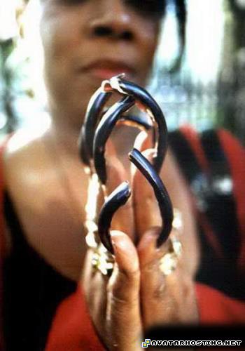 image sharing websites uploading pictures dog bugs 8840