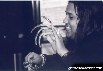 endangered moths insects temperate free photo storage 8841