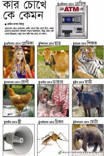 invertebrates arthropods professional photo album female avatar image001