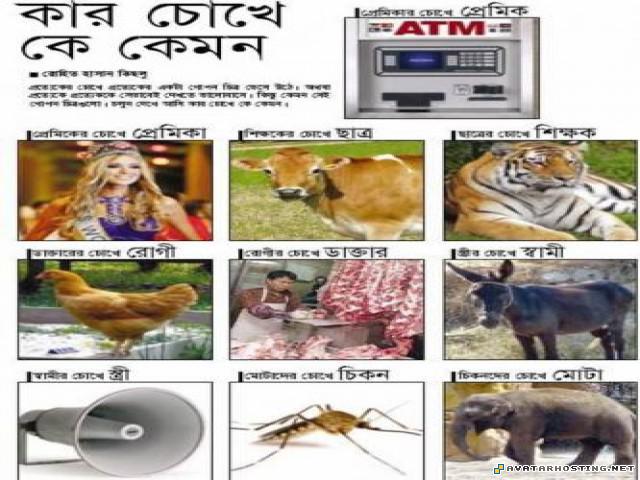 talking avatars photo galleries animation image001