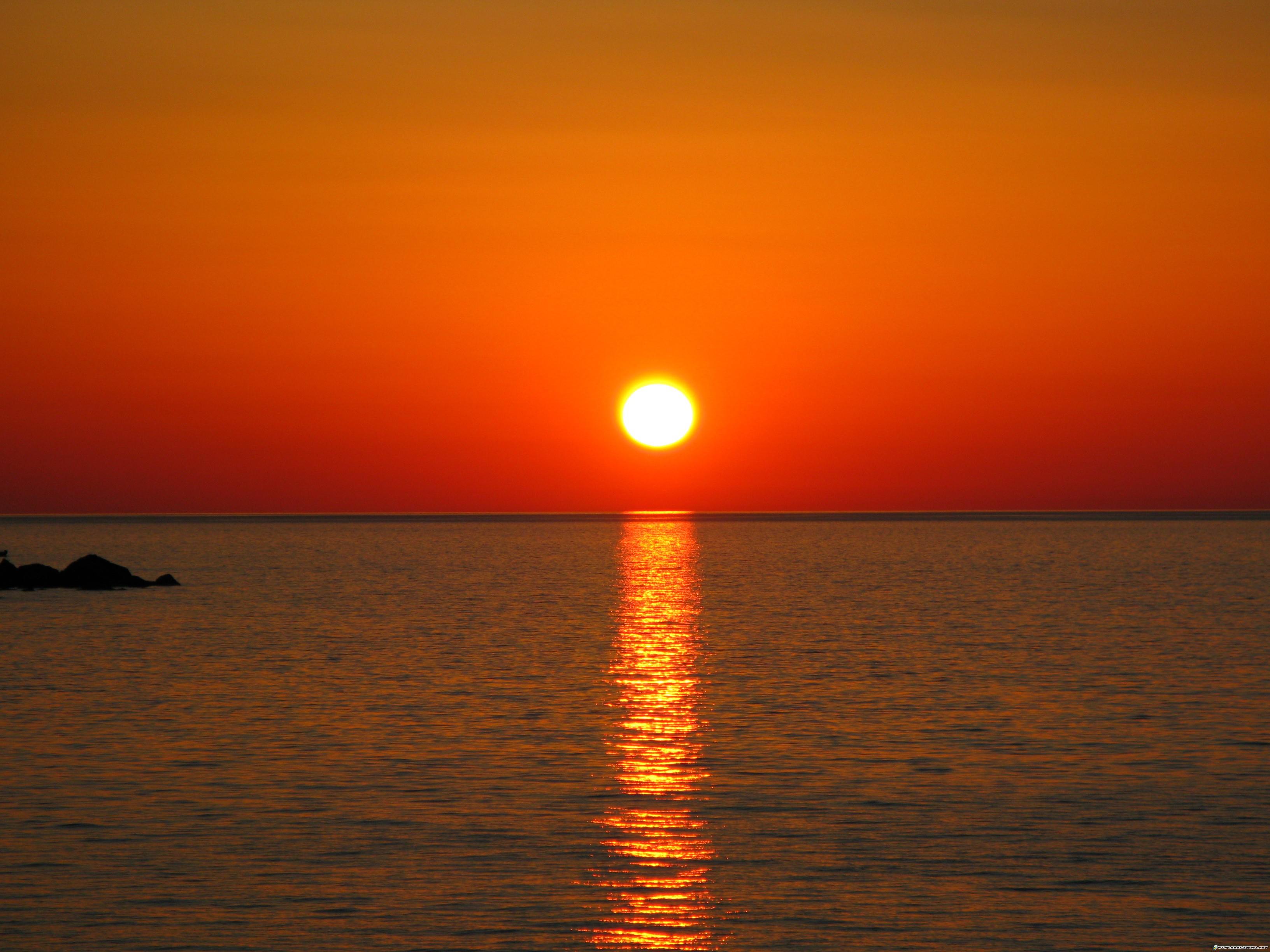 photo hosting and photo sharing cartoon avatars rousseau prints Crete086