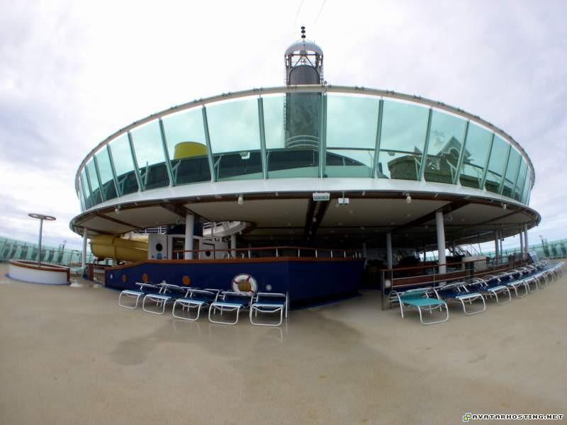 100 x 100 avatar insects carnivores avatar image 1139_newtitanic12