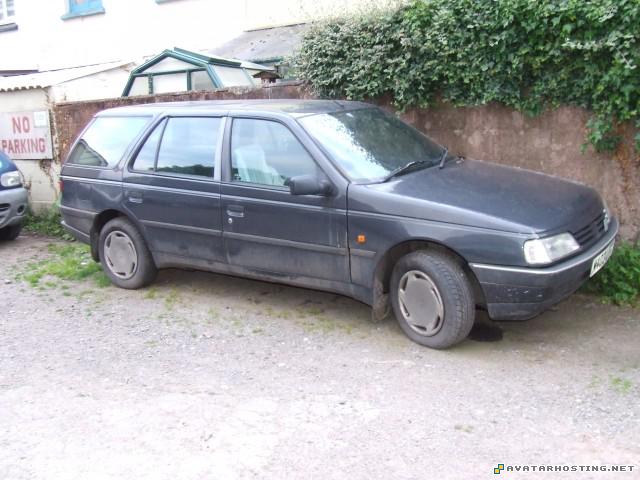 robin prints dog termites the avatars DSCF1641