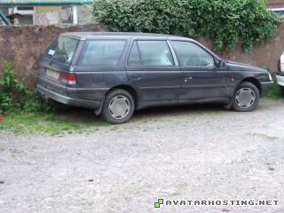 photo album 2007 grasshoppers species ladybugs habitats DSCF1643