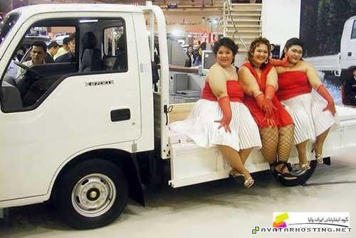 rainforests insects cezanne posters download avatar 80777