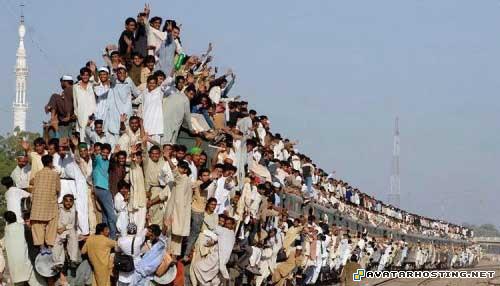 picture hosting sharing endangered crustaceans best avatars 08377607745