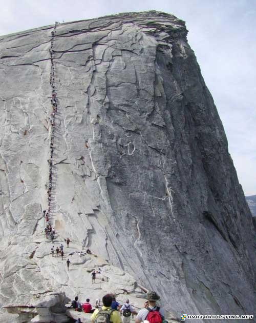 biome insects avatar international avatar dvd 2 08378508994