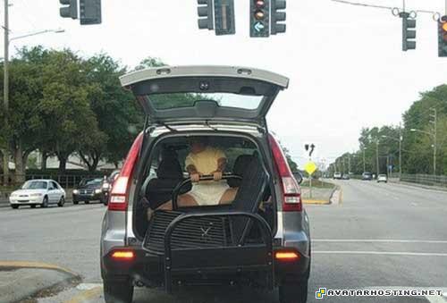 abstract oil paintings extinct mollusks insect collecting 08443922166