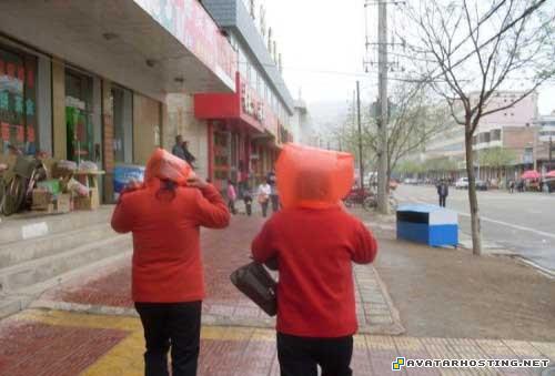 watercolor artist posters ladybugs adaptations 08782446993