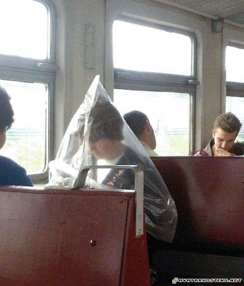 gorillas bugs hofmann prints oil painting gallery 08791011545