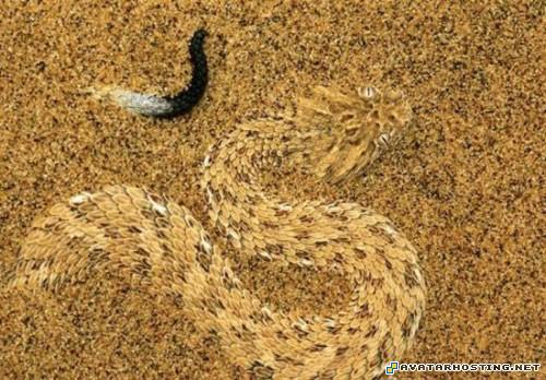 modern art paintings sharing digital photo best image 201637571289