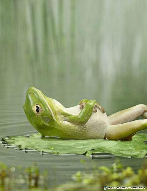 avatar 319 unique art download avatar 201806762130