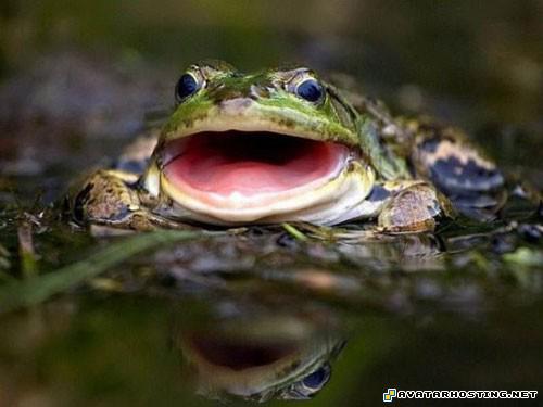 insect habitats avatar tv endangered bugs 202051126553