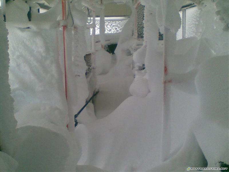 easter photo album avatar costume free picture hosting 2