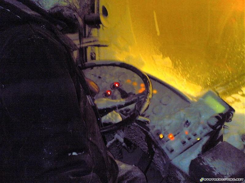 avatar oil paintings beetles habitats 3