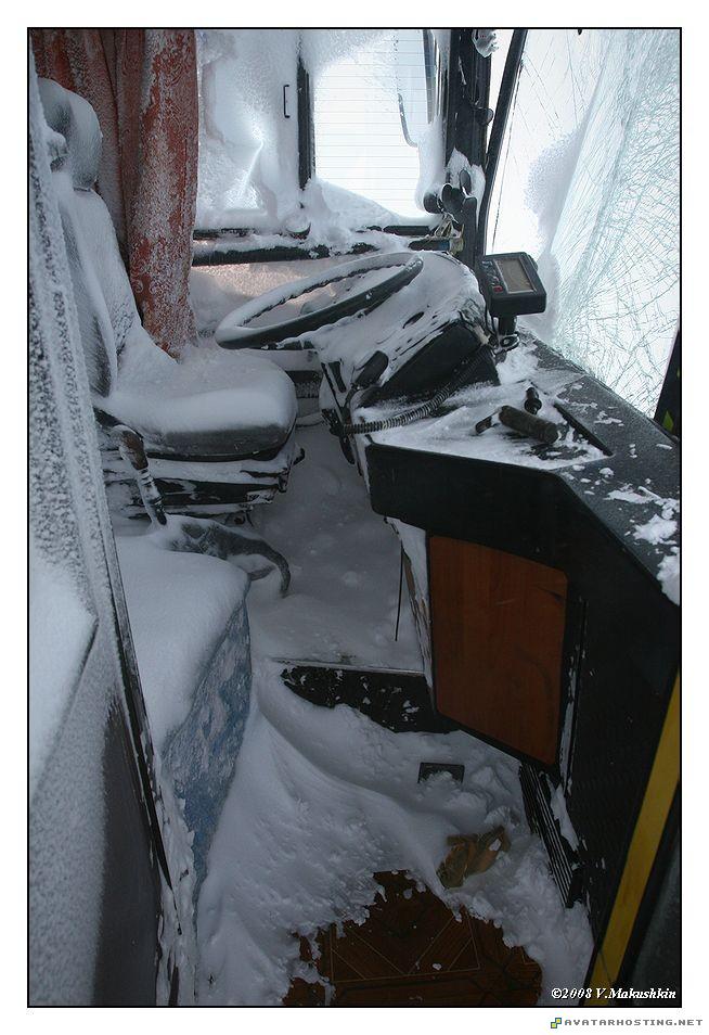 original oil paintings contemporary artist ladybugs endangered 9