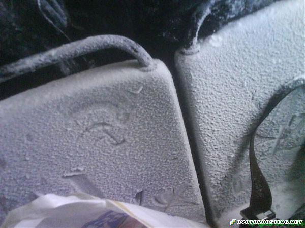 avatar chipper 80x80 fine art gallery 13