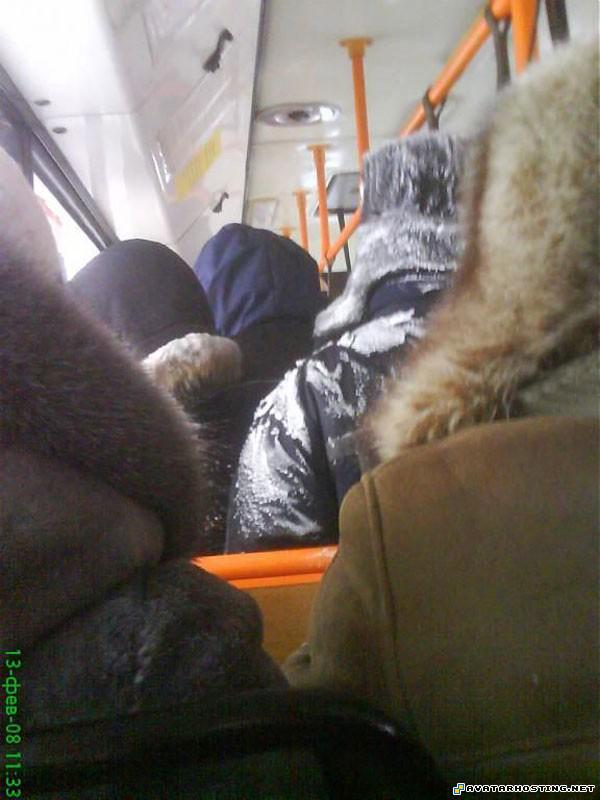 print share photo album avatar messenger 16