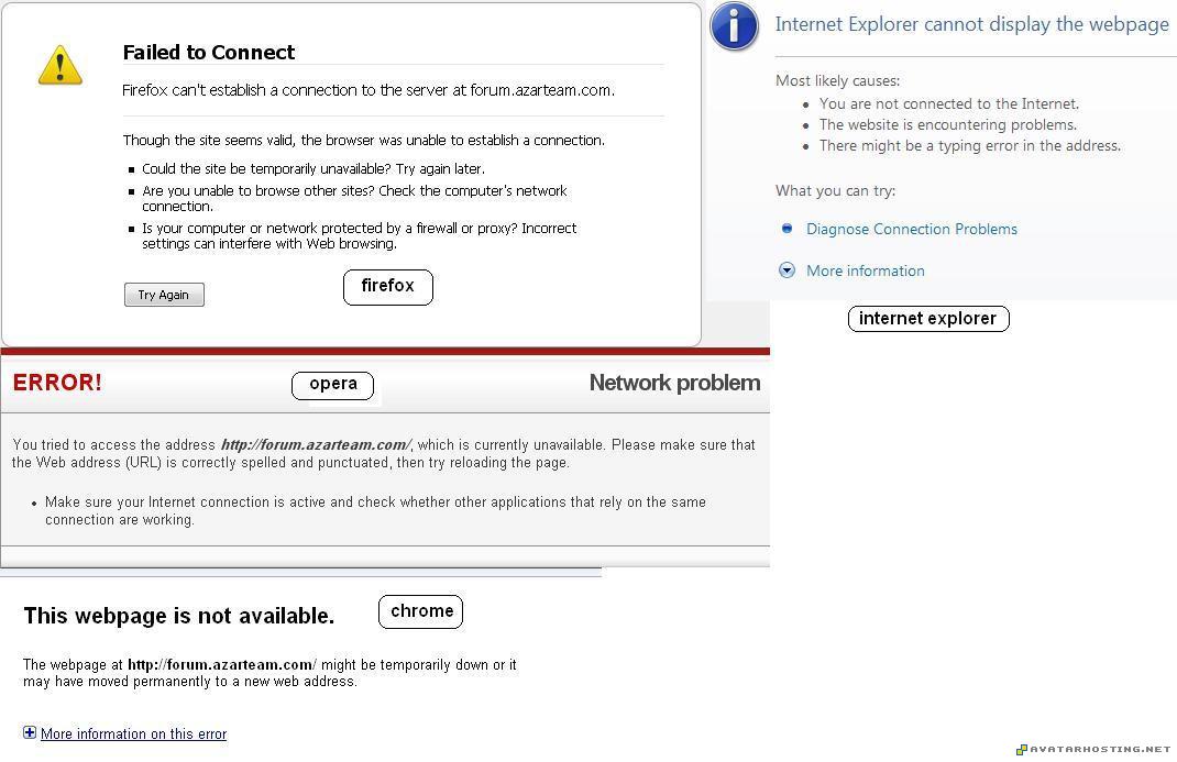 beetles adaptations photo album 2007 ebay image host error