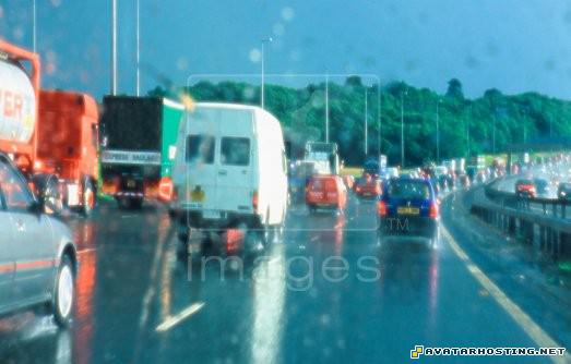 list of animals inuyasha upload photo Motorwaydrivingrain