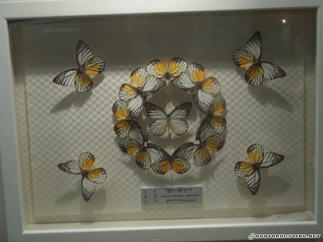 avatar 316 image shack photo upload avatar images 13937400