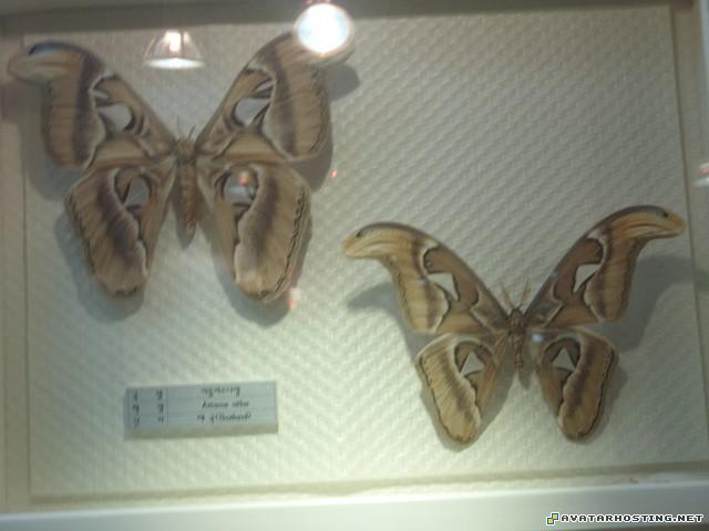 landscape oil paintings moore prints sports avatars 22939126