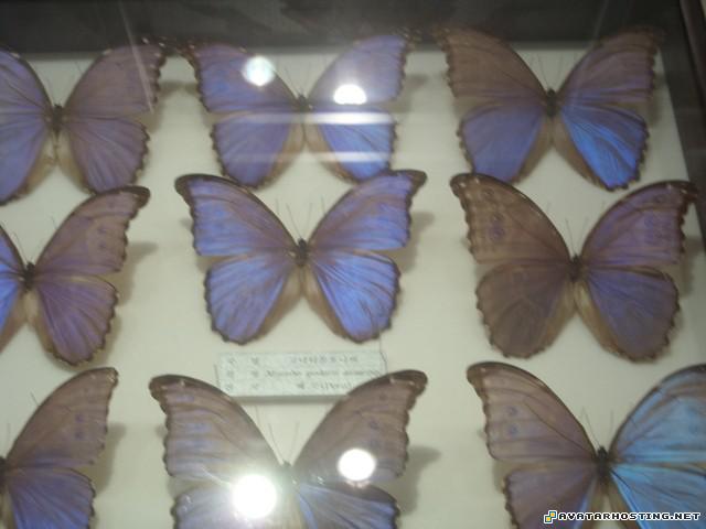 acrylic paintings ebay image host martin prints 35559529