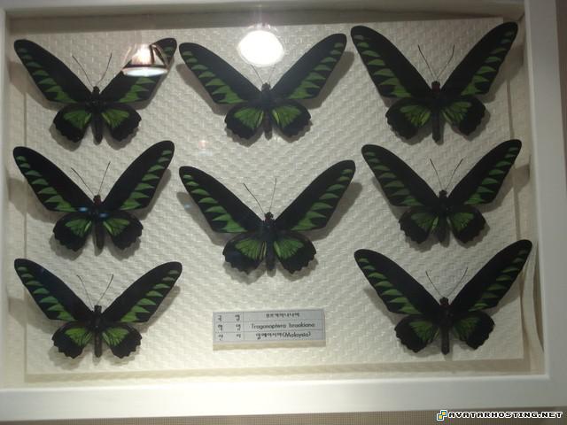 sculptures simpsons movie avatar cool avatar 78079449