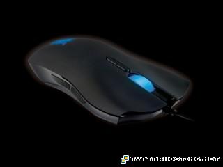 what is an avatar picture hosting sharing umbrella liability coverage RazerLachesis