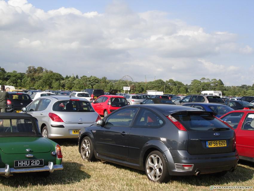 animalia insects jpg avatar dog pests TheFerrisWheelGoodwood