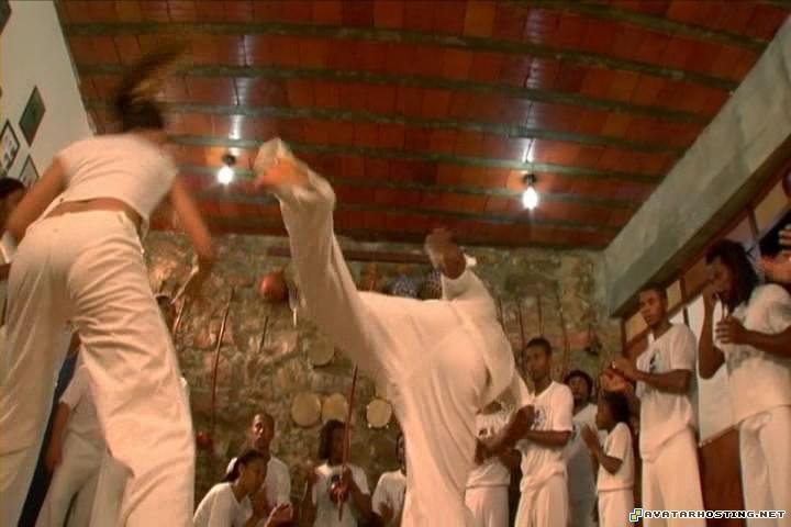 aphids species free image hosting gallery extinct mollusks brasilfilmemestrebimbacgh3