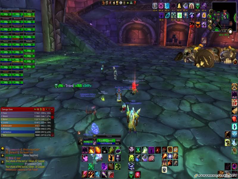 rabbits bugs insects species avatar url WoWScrnShot_061909_192239