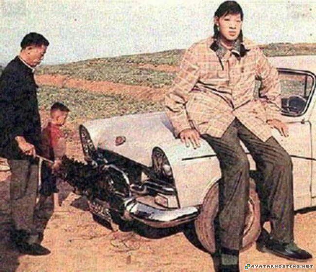 free image hosting sites avatars com oil paintings art giant_08