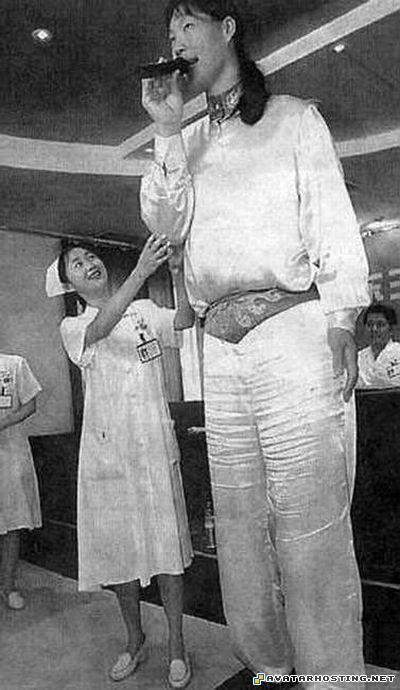 photo hosting php best avatars images hosting giant_09