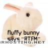 fluffybunny Picture1