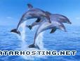 watercolor animated avatars avatar map 3dolphins