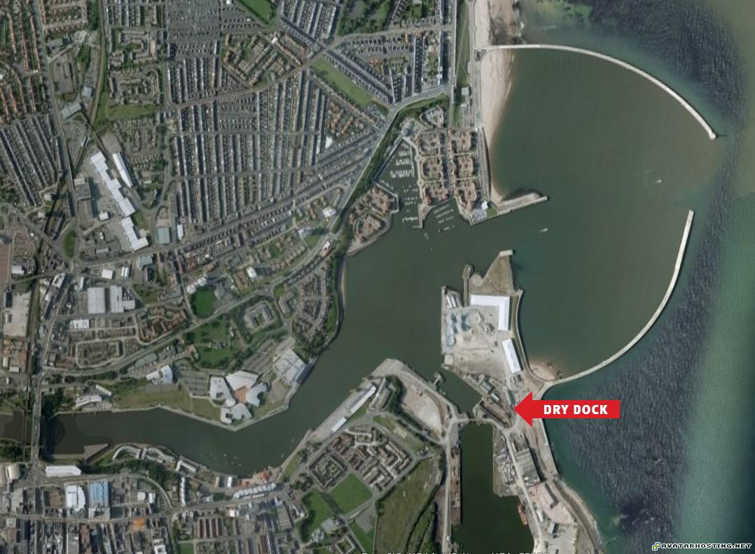 framed insects modern art paintings photo albums DRYDOCK