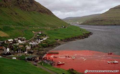 sculpture print cartoon avatars 8496_1247925335_faroeislandswhale1