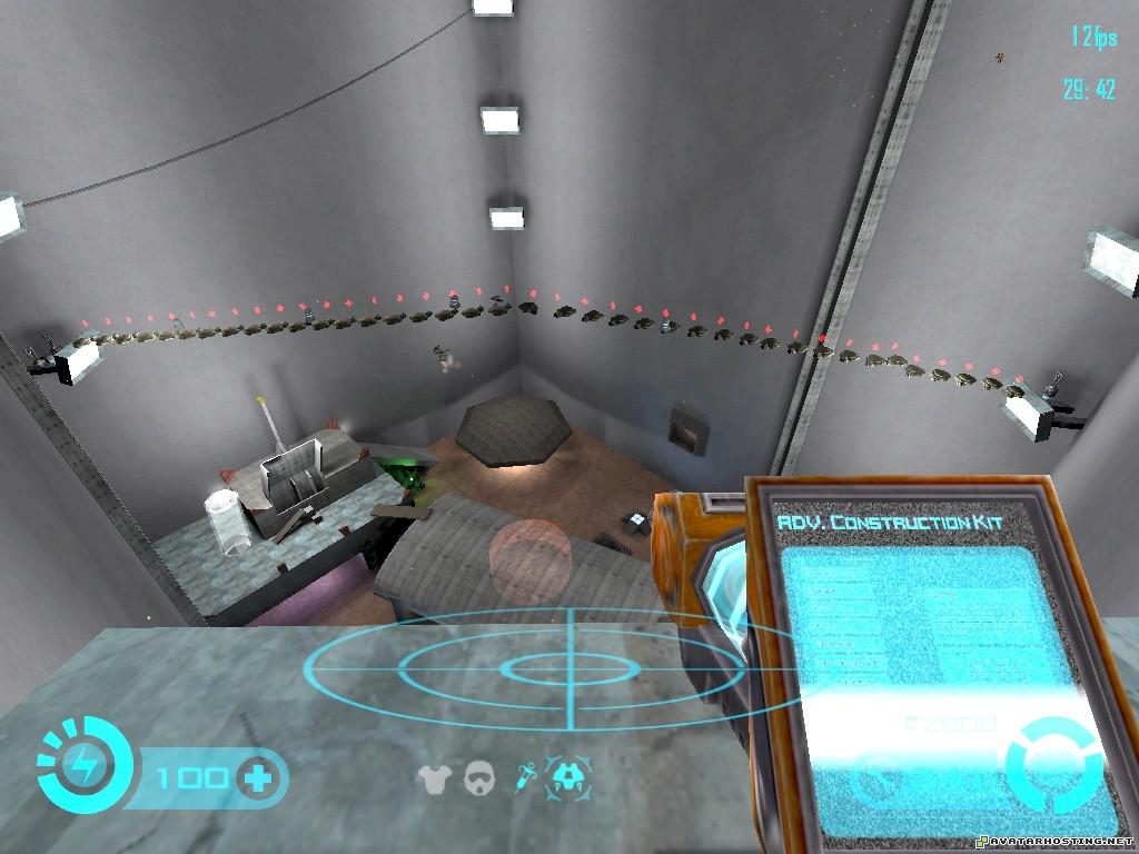 crustaceans species fast image hosting beetles habitats shot0056