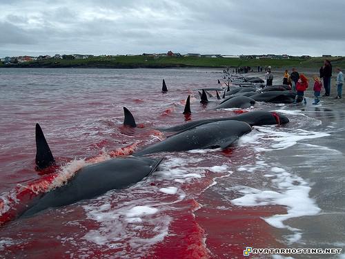 100 x 100 dragon avatar lithograph 210337959_ab57a9c51e