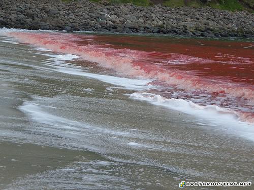 poster the avatar nickelodeon photo storage 207834316_227c89c22b