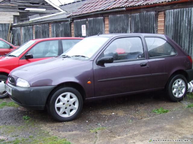 painters millipede species rabbits bugs 14rsrims1